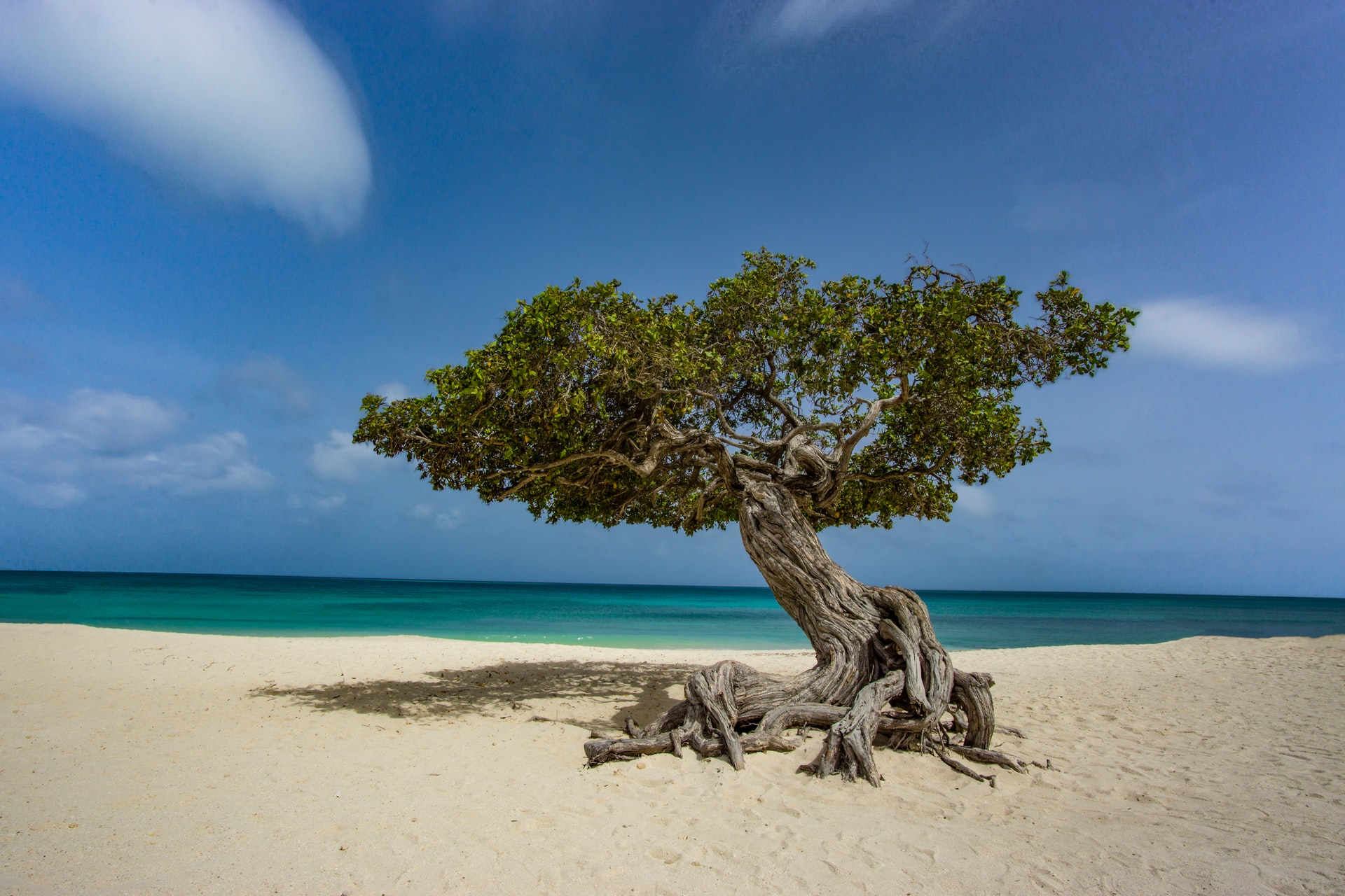 Aruba,10 best countries to visit in south america