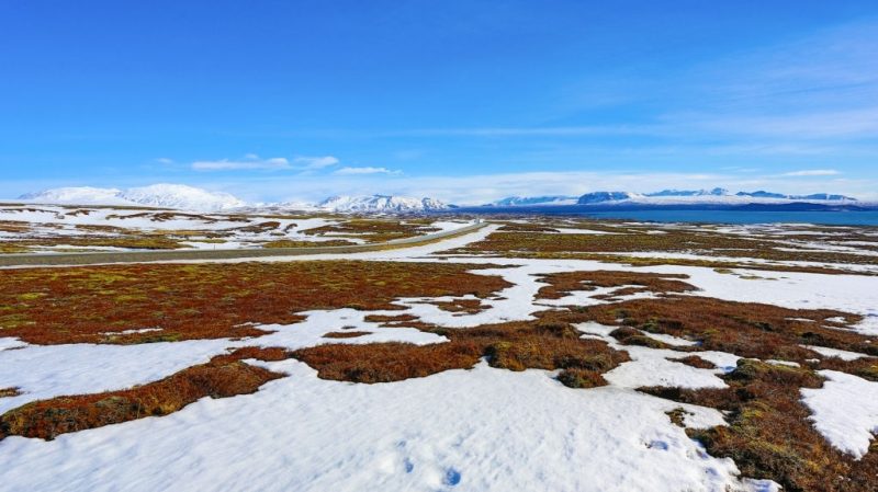 10 Interesting Facts About the Tundra