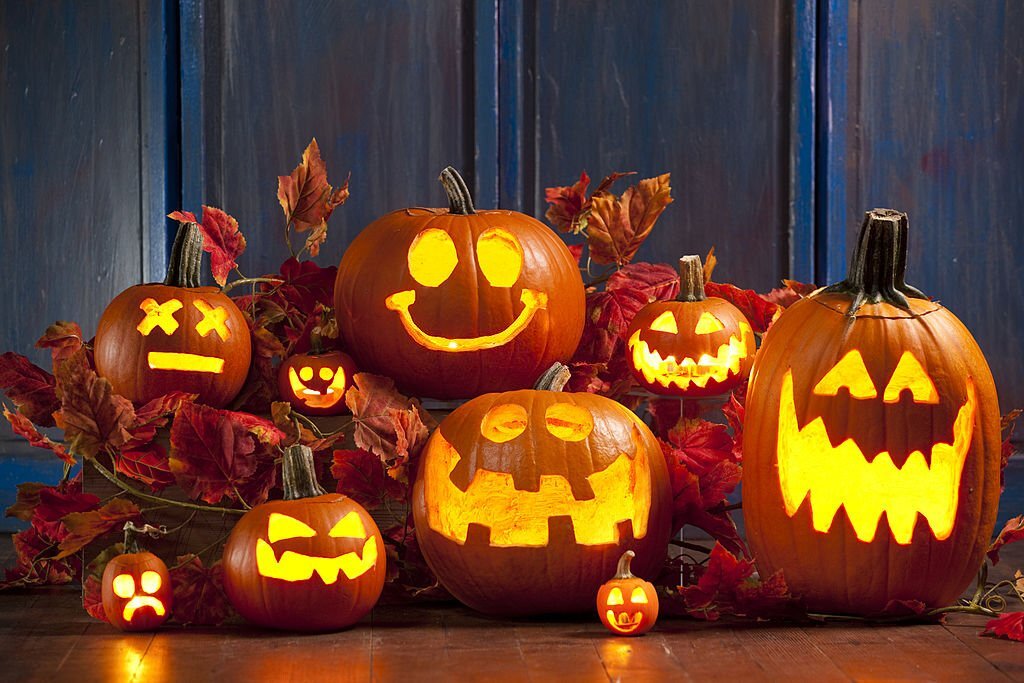 10 Fun Pumpkin Facts for Kids You Need to Know
