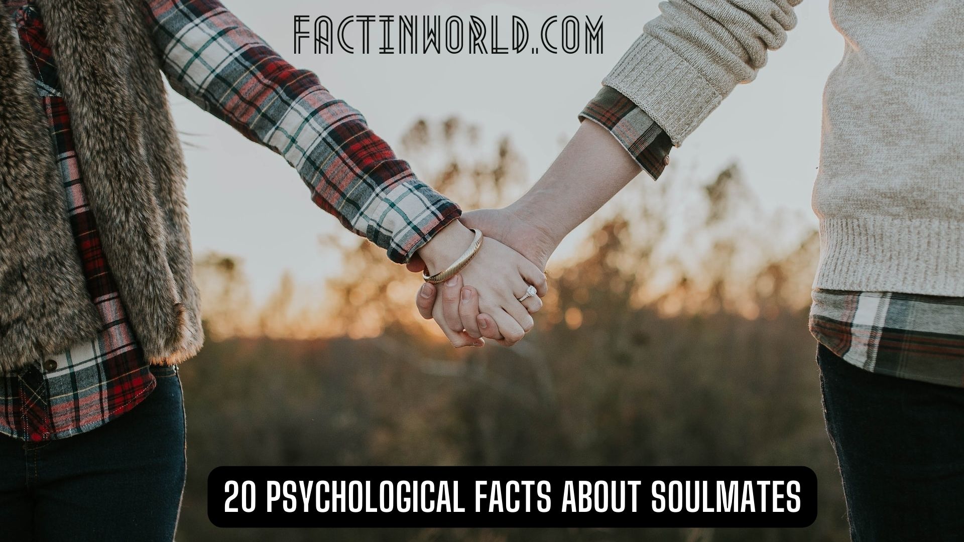 The 20 Fascinating Psychological Facts About Soulmates